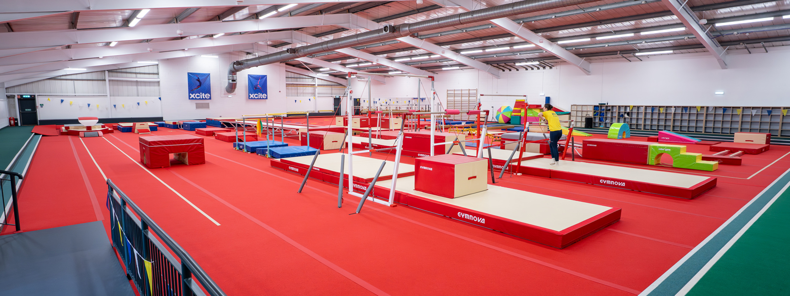All Around Gymnastics image