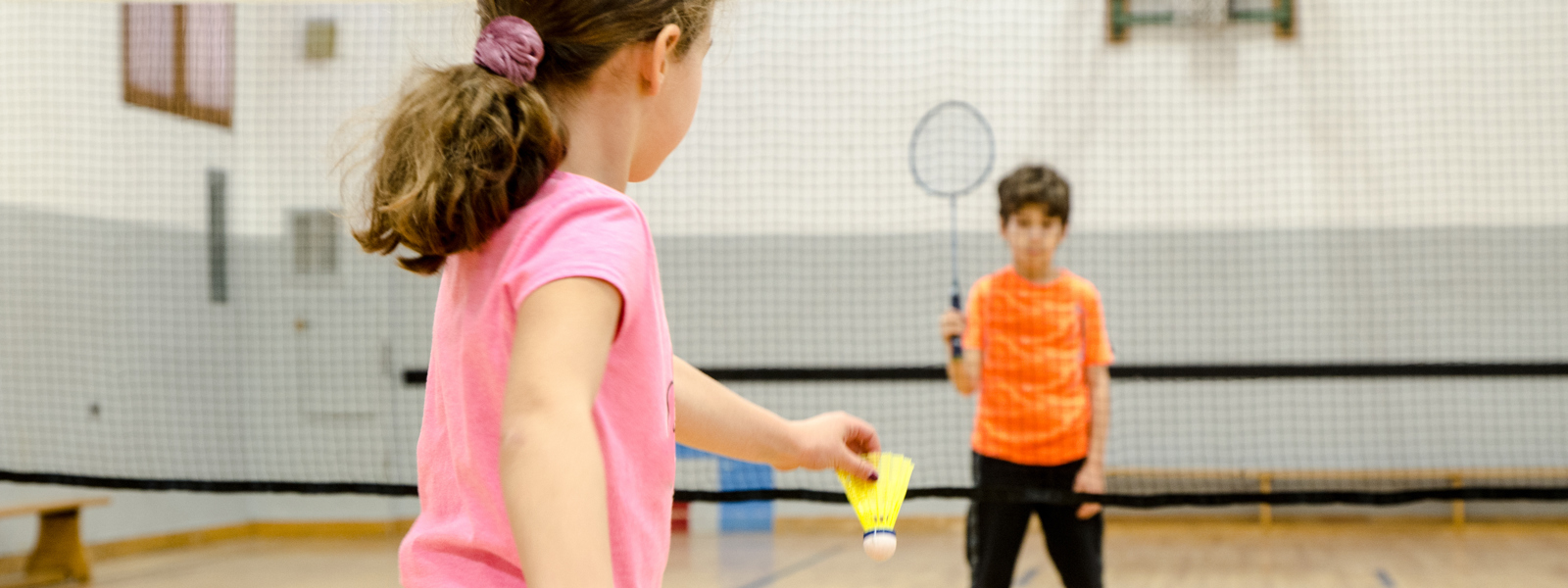 Badminton Coaching image