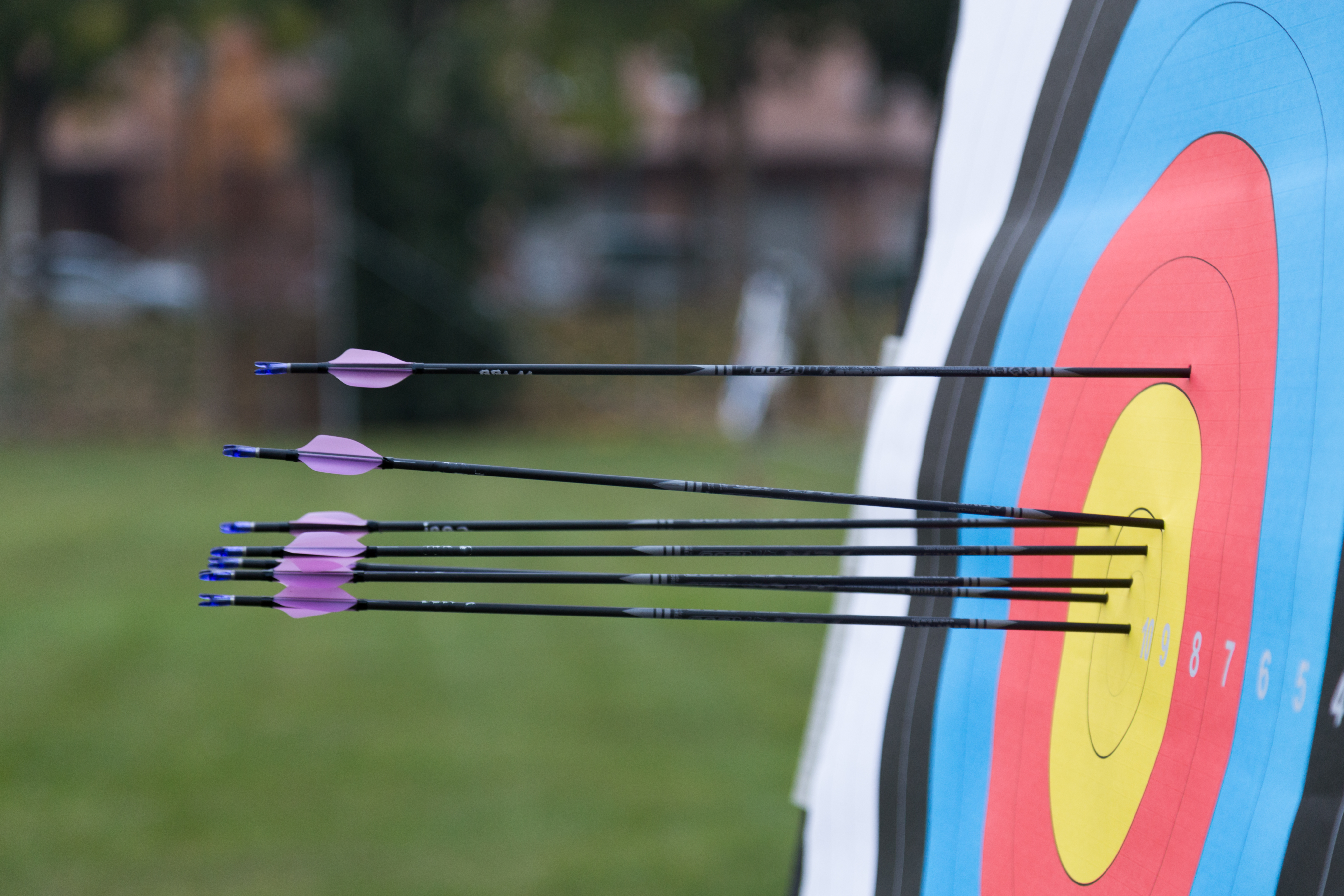 Family Archery HALF Day Sessions image