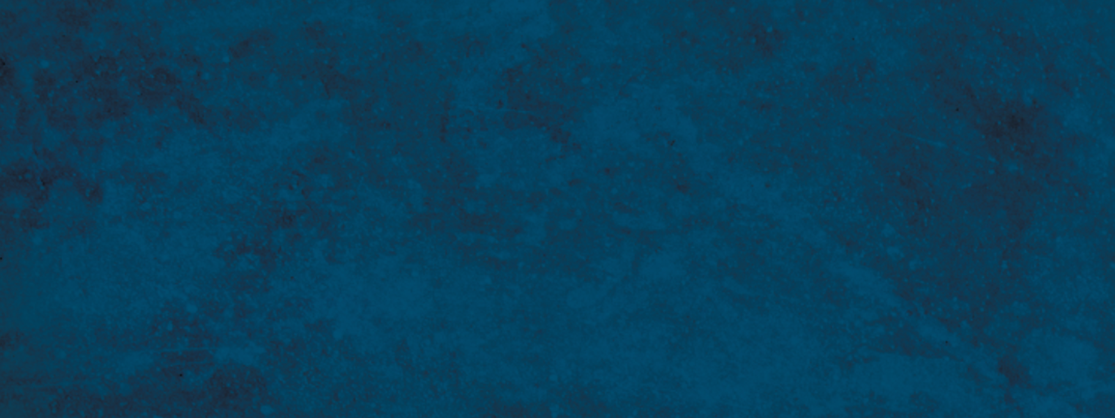 Corporate Partnerships image