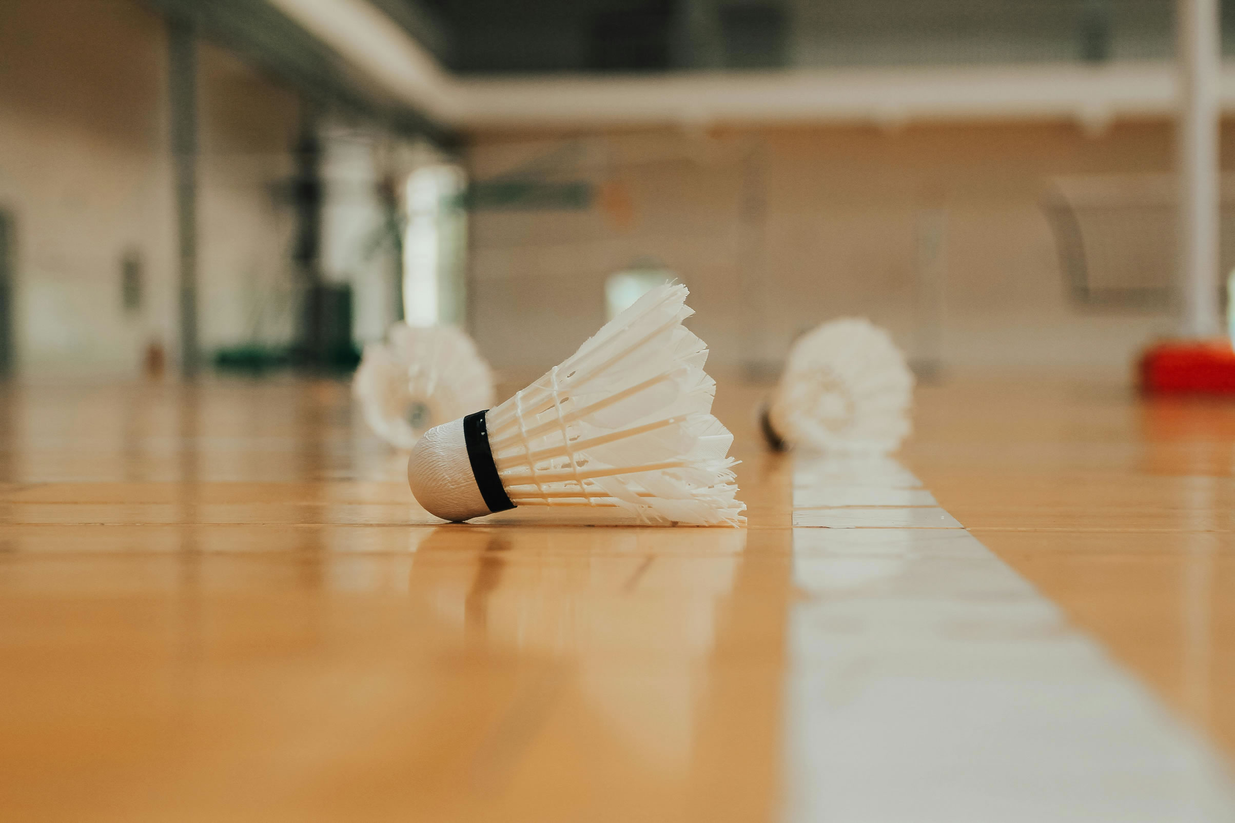 Badminton image